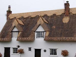 Long Straw Thatch Re-ridge