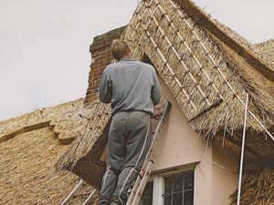 The Thatchers At Work - Trimming