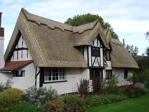 Traditional Thatched Roof