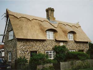 Cottage Thatched With Water Reed