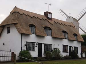 New Long Straw Thatch