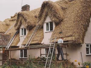 Thatching Eave