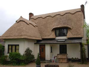 Long Straw Thatch