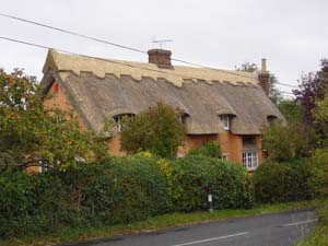 Re-ridging Old Thatch