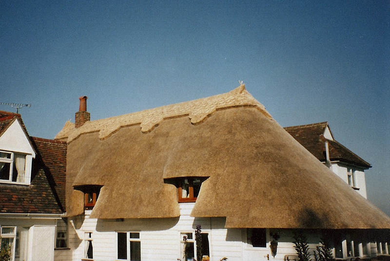 Wheat reed thatched roof