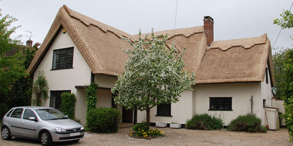 Thatched Roof