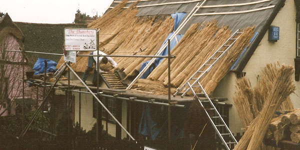 Thatch Roof Work