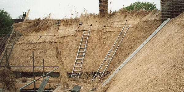 Thatching work